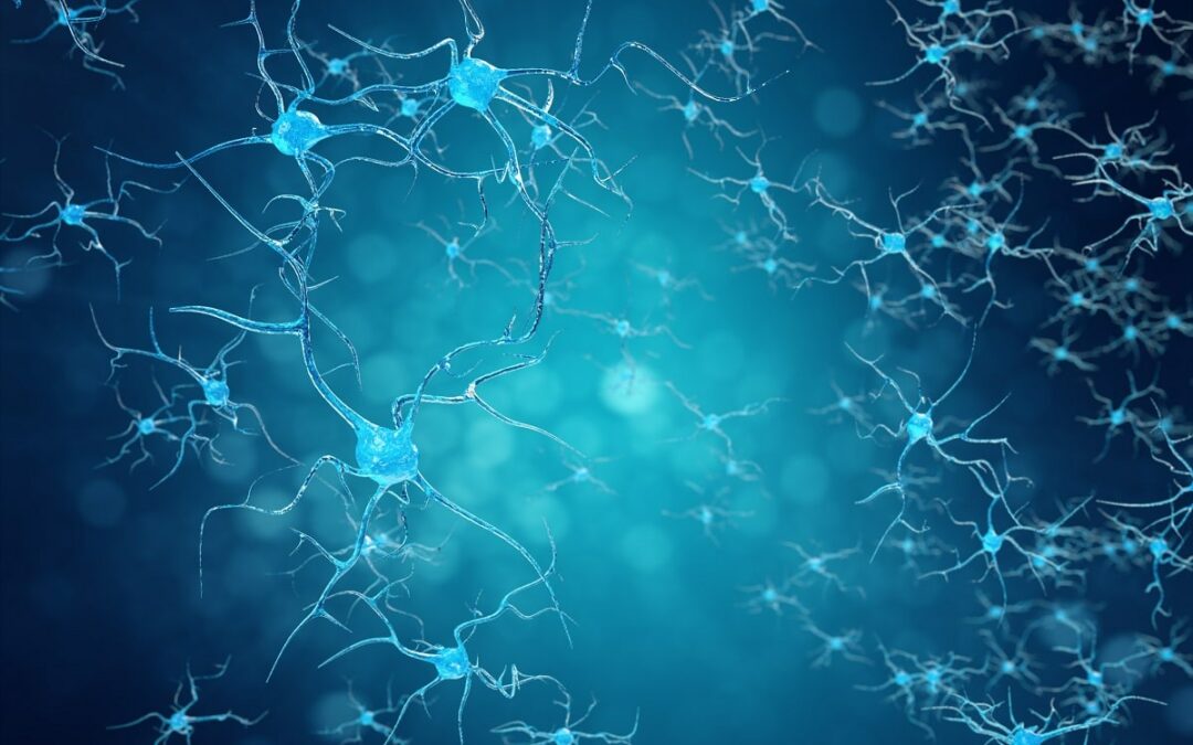 Funktionsfähige neuronale Netzwerke aus Stammzellen hergestellt
