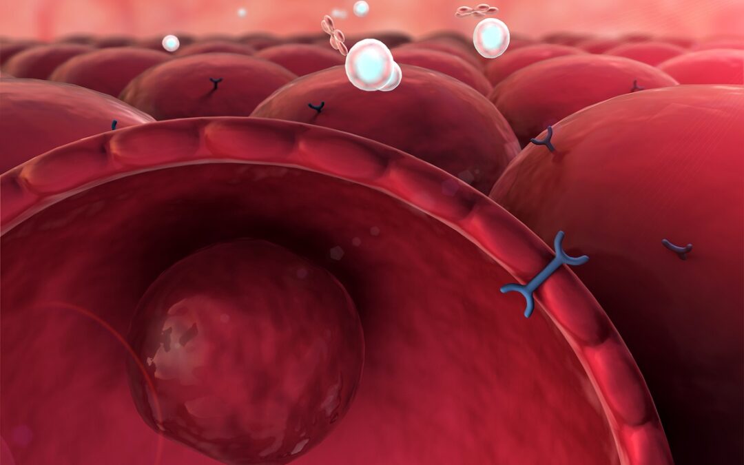Covid-19 befällt Betazellen der Bauchspeicheldrüse