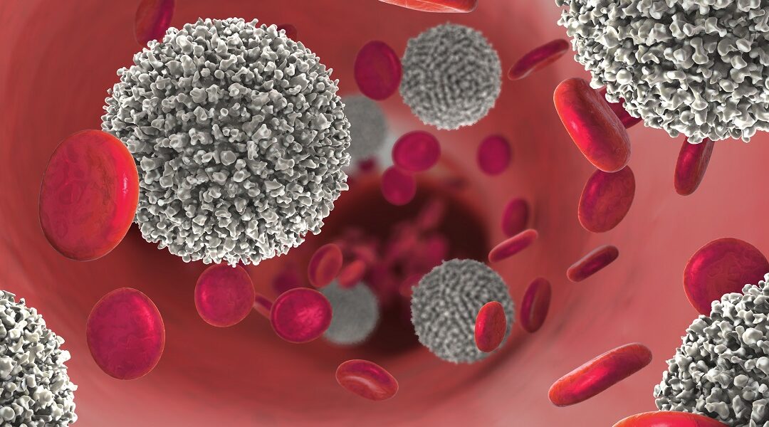 Bispezifische Antikörper als Behandlungsansatz bei Blutkrebs
