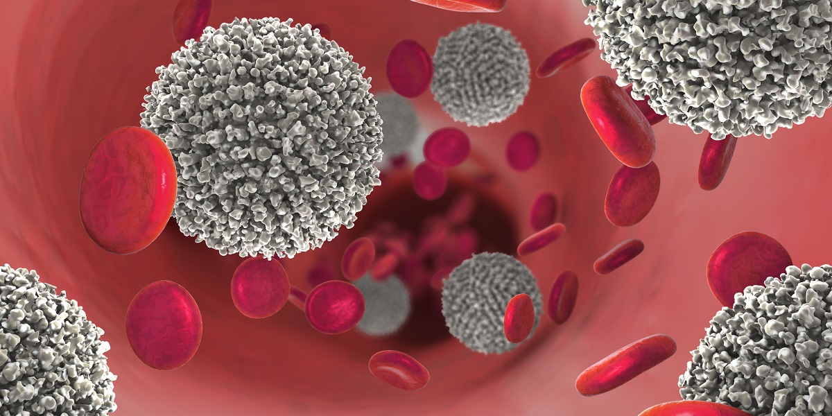 Bispezifische Antikörper als Behandlungsansatz bei Blutkrebs