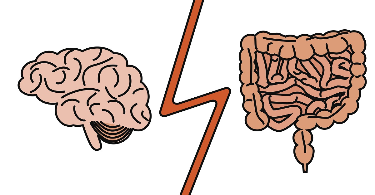 Unterschiedliche Nahrung aktiviert unterschiedliche Nervenzellen