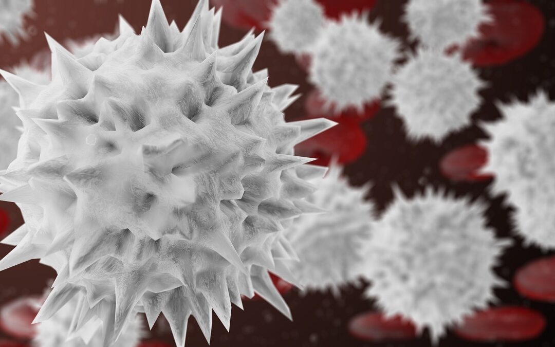 Training von weißen Blutkörperchen hemmt Tumorwachstum