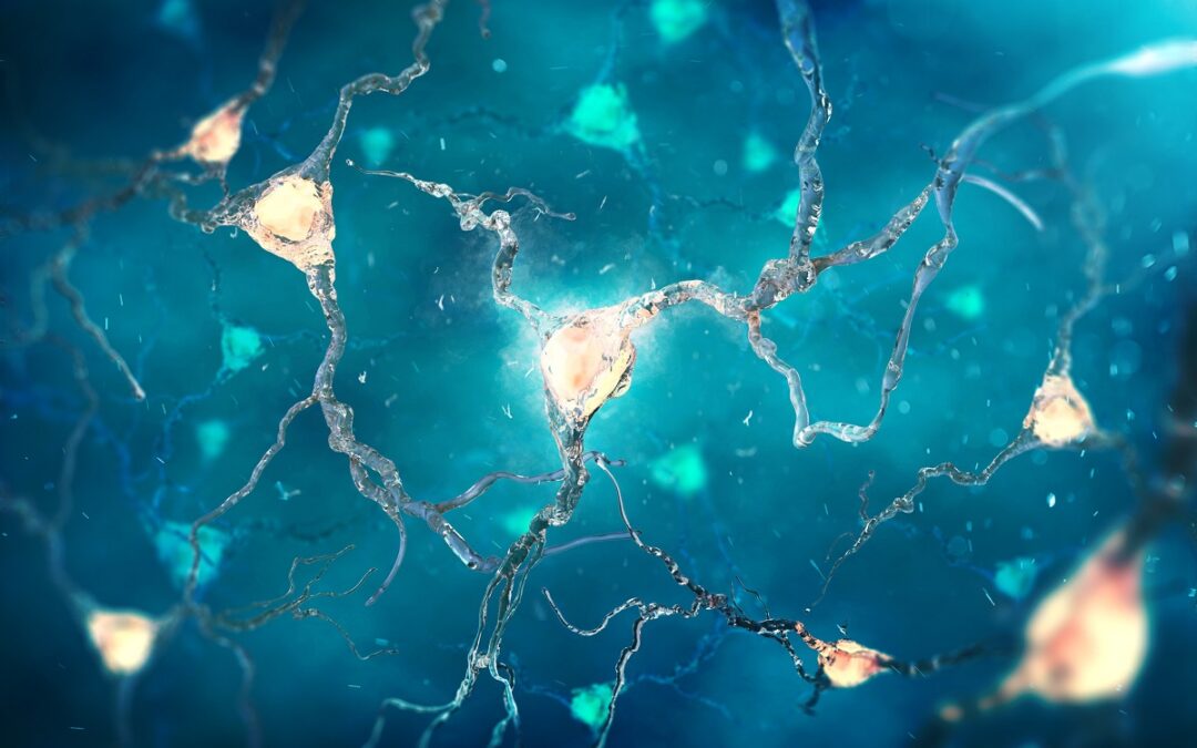Neue Erkenntnisse aus der Alzheimer-Forschung