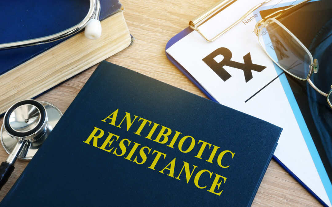 Woher stammen antibiotika-resistente Erreger in unseren Gewässern?