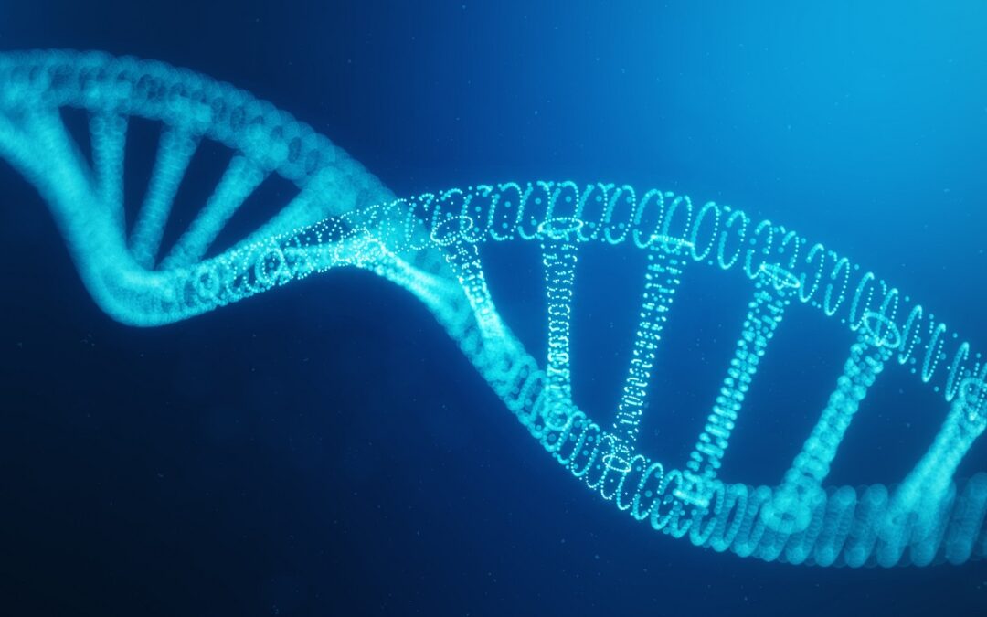 Neue Erkenntnisse über DNA-Reparaturmechanismus