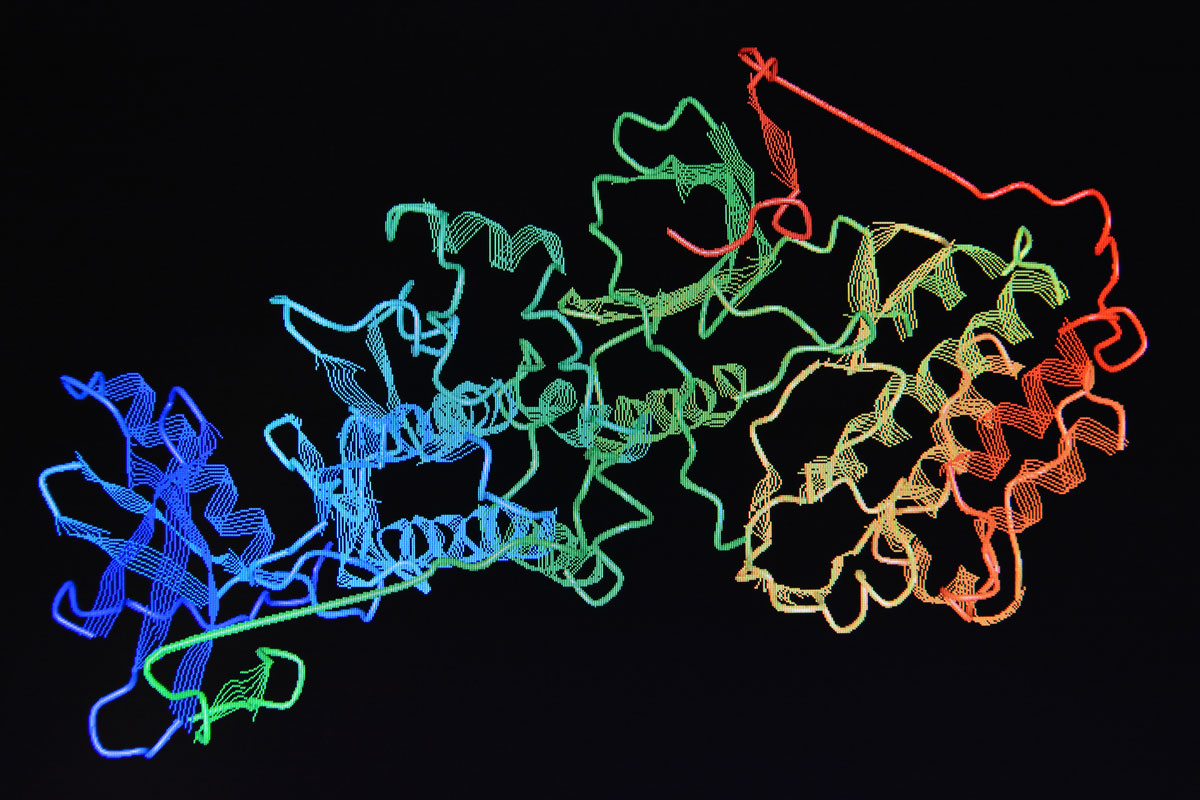 Proteinstruktur nach mehr als fünfzigjähriger Forschung entschlüsselt