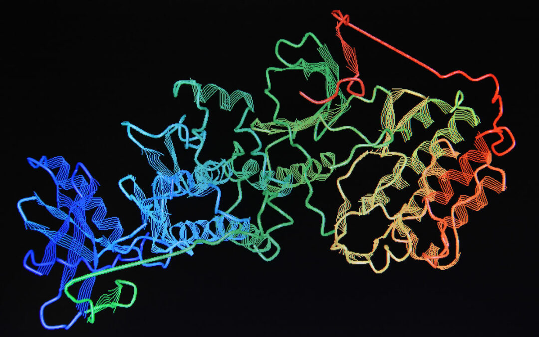 RNA-Bindeprotein tastet Zieltranskripte ab und bindet sie