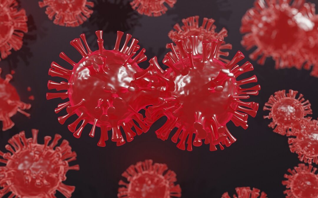 Auswirkung von Virusmutationen in T-Killerzell-Epitopen