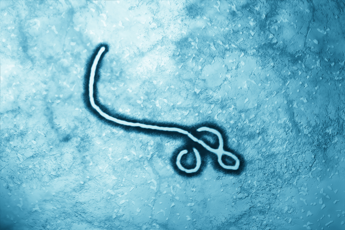 Schnellere Erbgut-Analyse von Ebola-Varianten