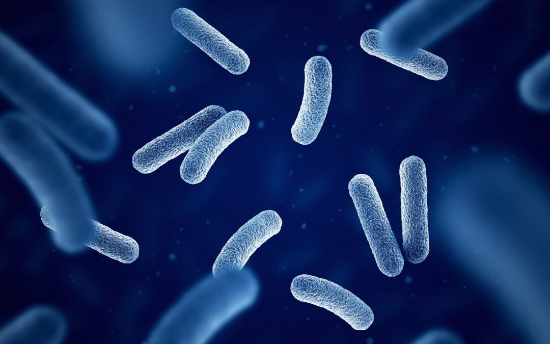 Interaktiver Mechanismus bakterieller Genschalter entdeckt