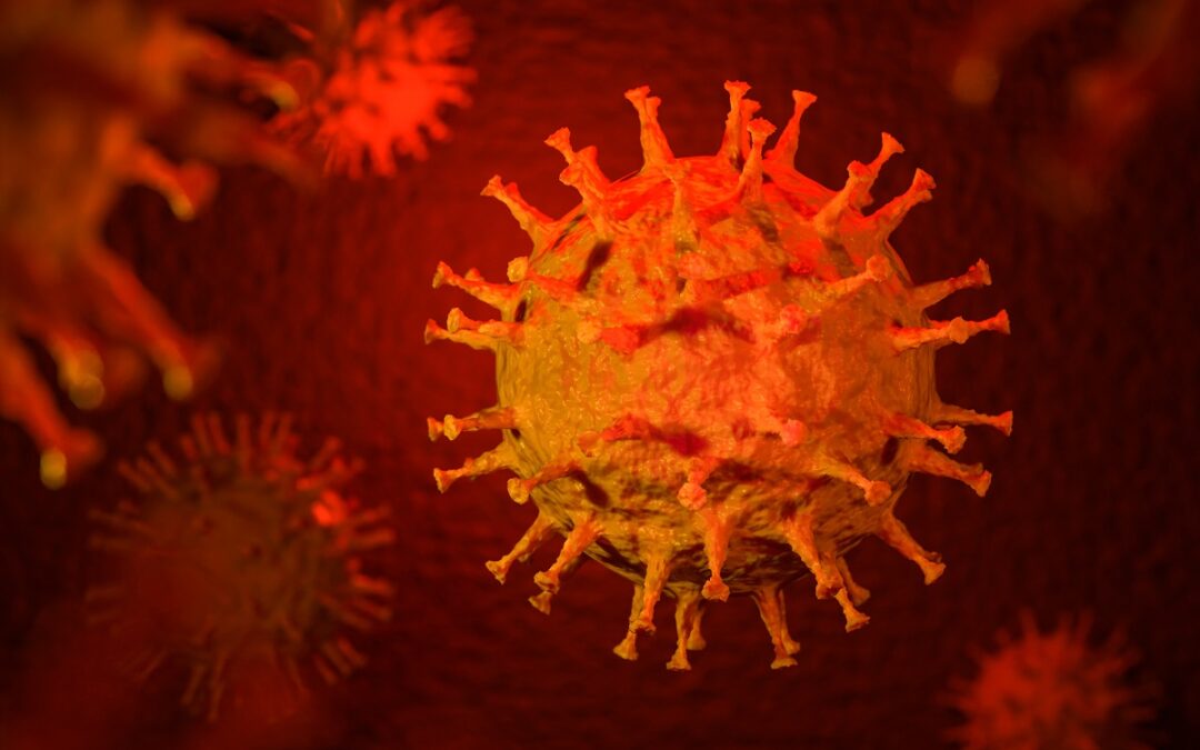Virusoberfläche auf Bindungsstellen untersucht