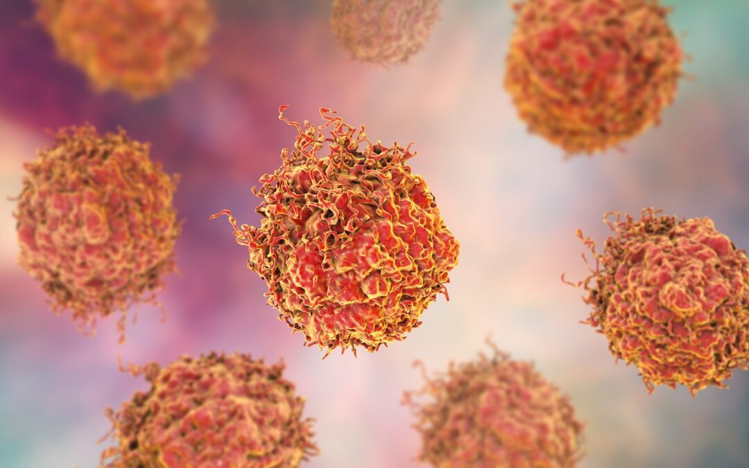 Neue Erkenntnisse über fehlgeleitete Sinalwege in Tumorzellen