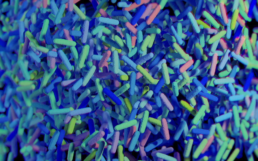 Rolle des Mikrobioms beim Auslösen einer Immunantwort