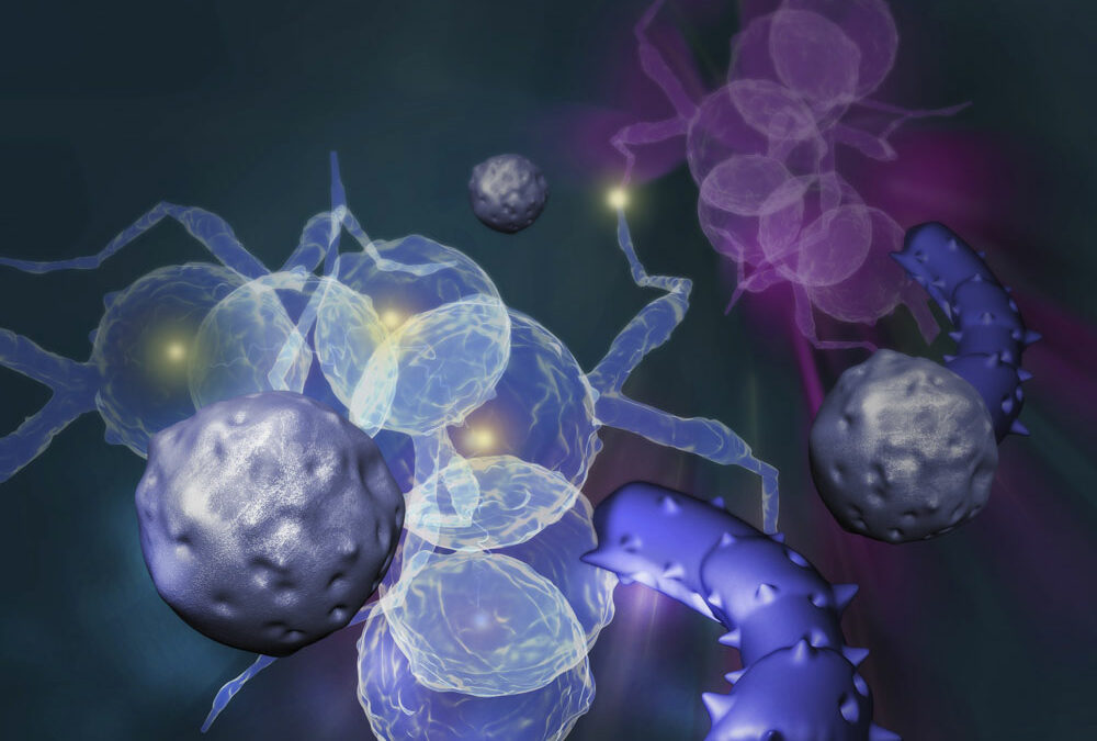 Proteinblockade macht Krebszellen sichtbar