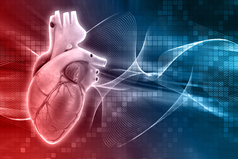 Technikinnovationen für den Herzklappenersatz