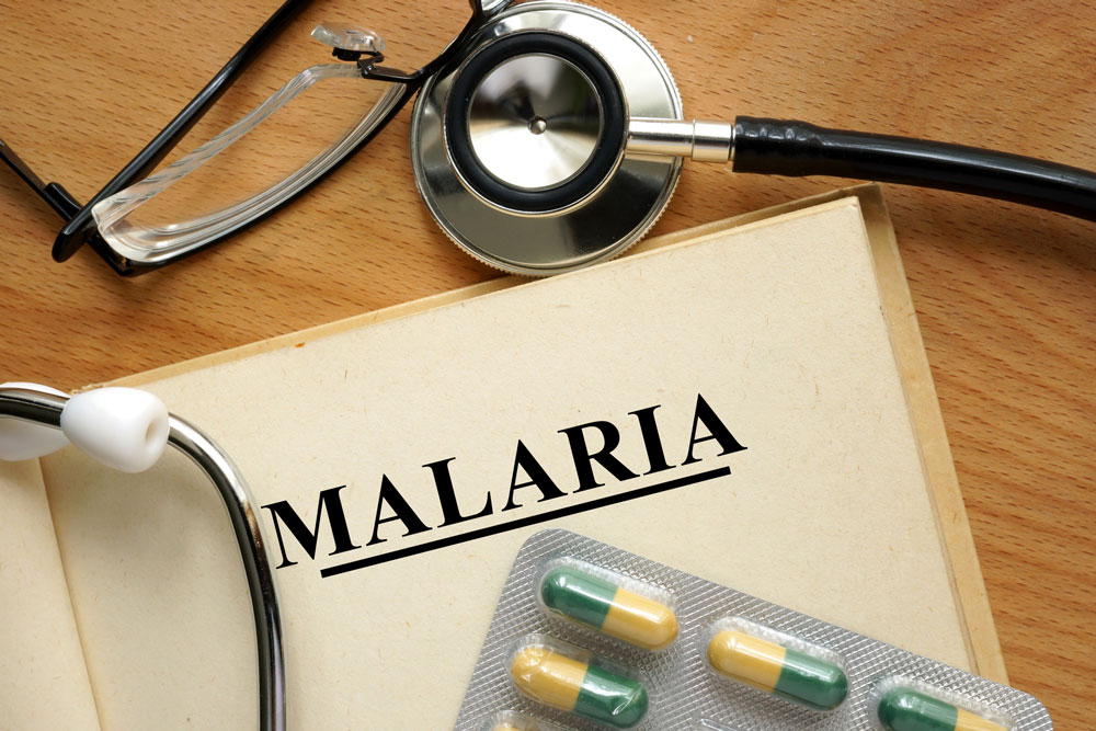 Neuer Blutschnelltest für Malaria