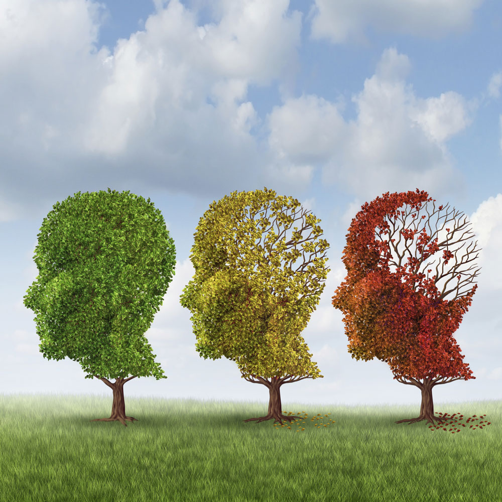 Alzheimer effektiver diagnostizieren