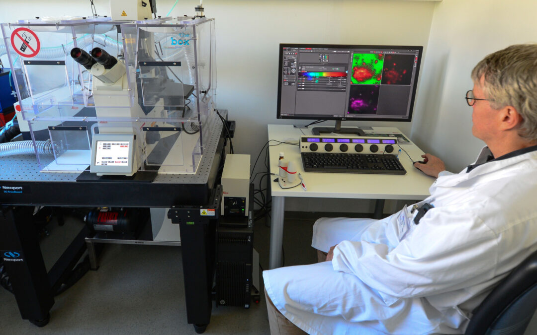 Laser-Scanning-Mikroskop zur Verfügung gestellt