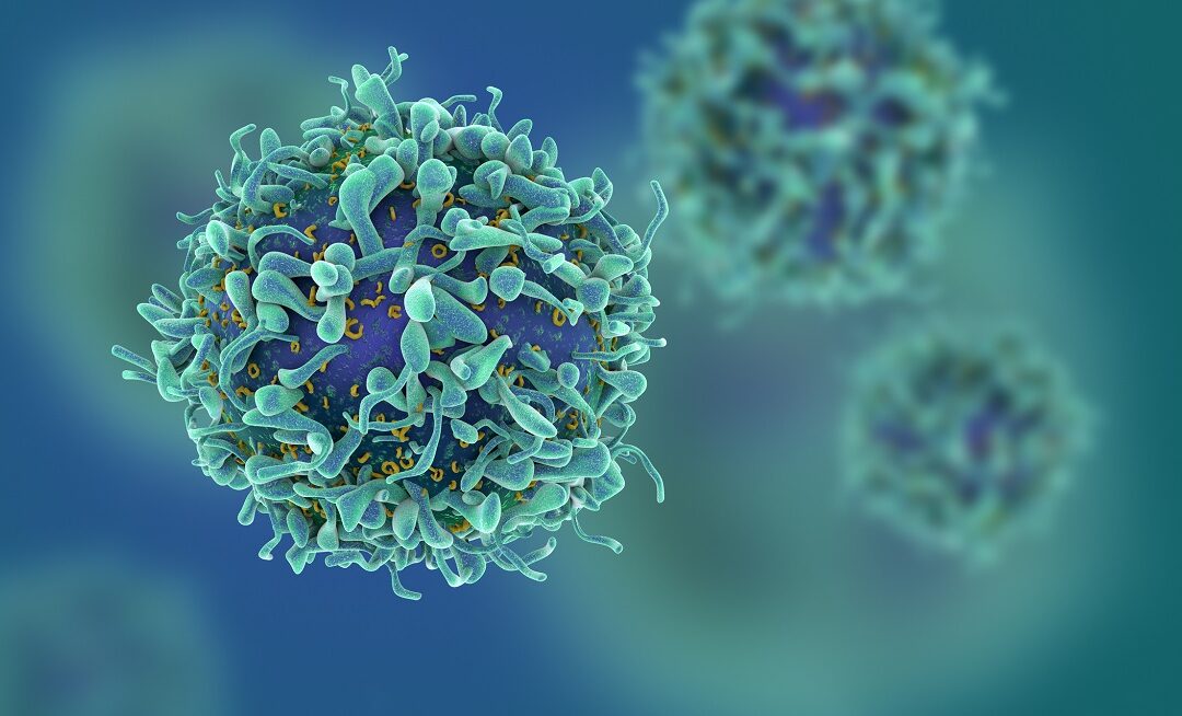 Entdeckte Immunzellen in Lunge verbessern Virenabwehr