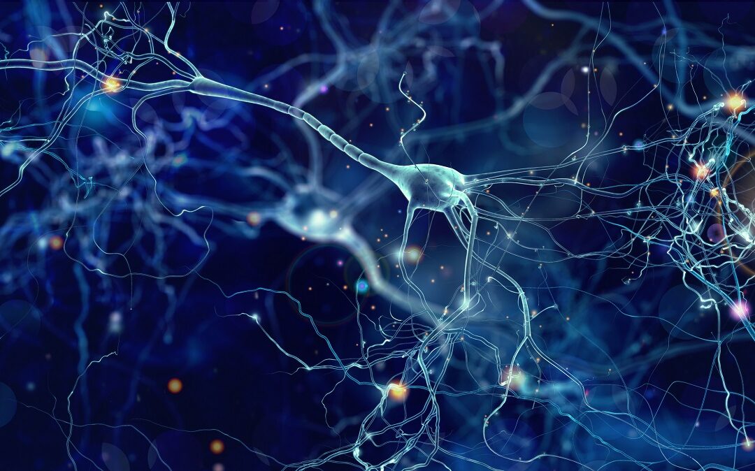 Neue Methode lenkt Wachstum von Nervenzellen