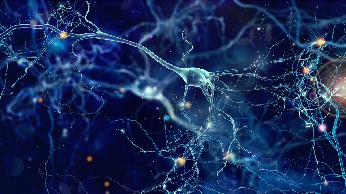 Neue Methode lenkt Wachstum von Nervenzellen