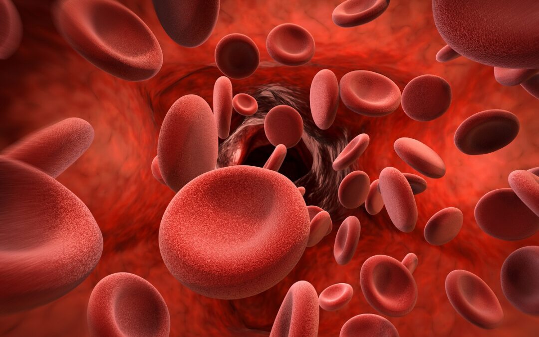Corona-Infektion verändert Blutzellen langfristig