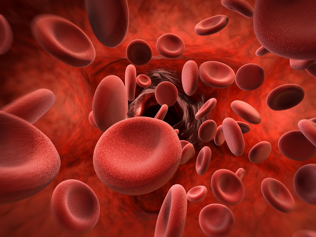 Corona-Infektion verändert Blutzellen langfristig