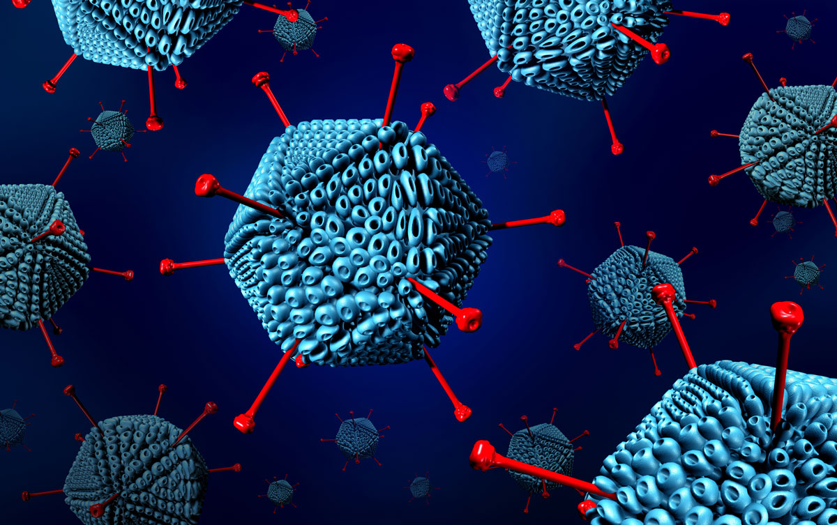 Arsentrioxid stärkt körpereigene Abwehr gegen Adenoviren