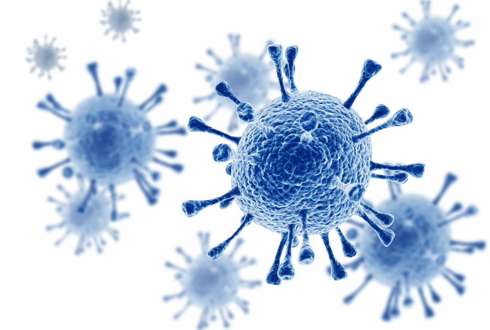 Wie die Infektion mit dem Zytomegalievirus abläuft