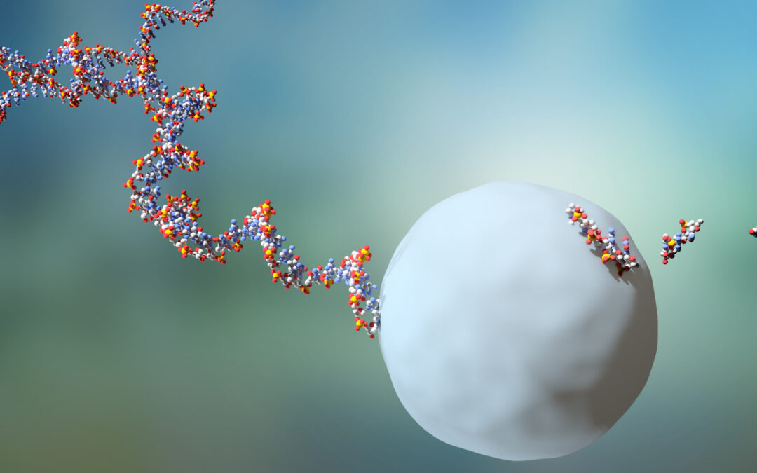 Lebensdauer von RNA-Molekülen untersucht
