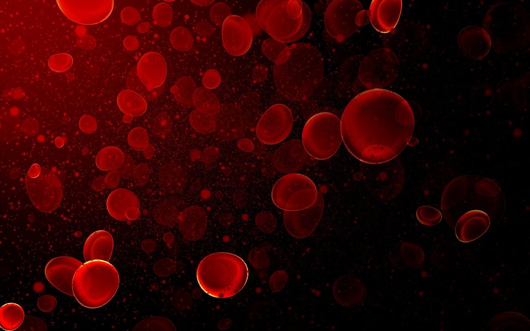 Dreidimensionale Analyse von Blutzellen mit künstlicher Intelligenz