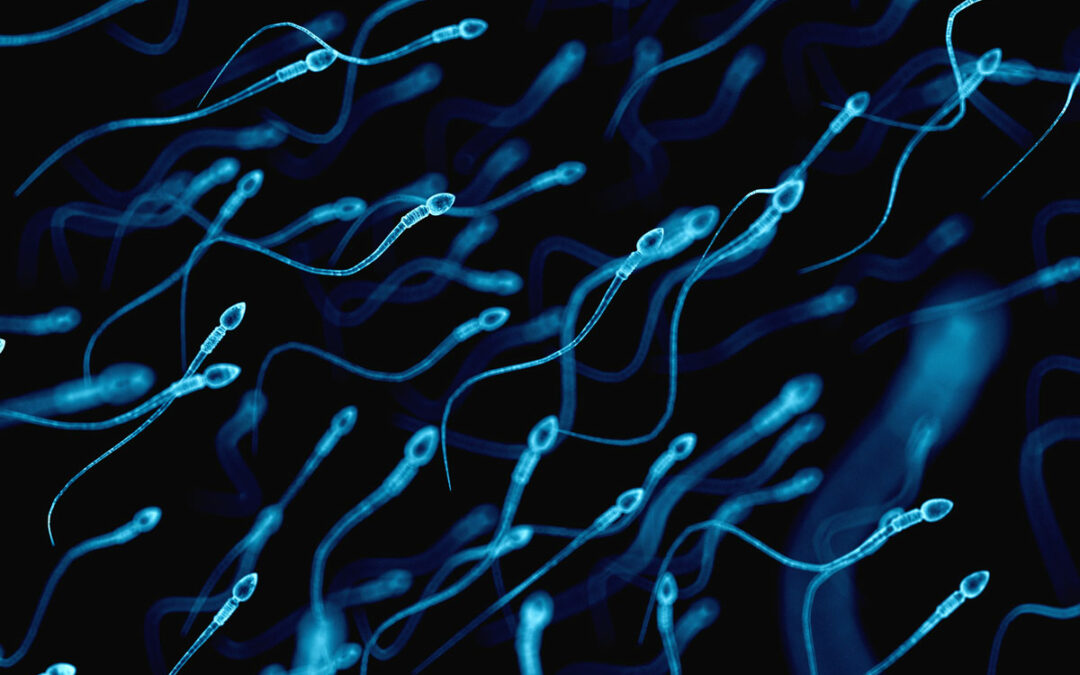 Diagnostisches Potenzial von Spermienzellen