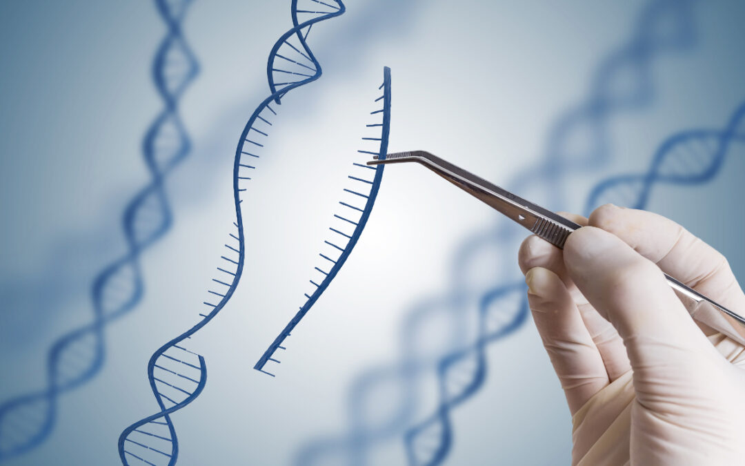 Neue Einsatzmöglichkeit für CRISPR-Technologie