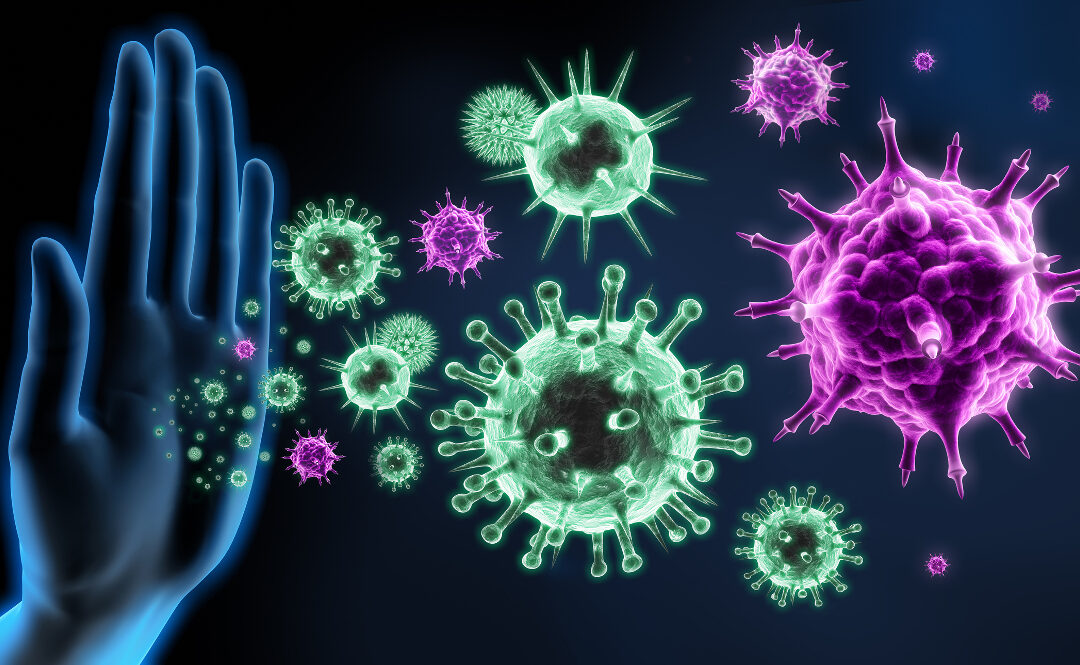 Bakterien beeinflussen Immunreaktion ihres Wirtes