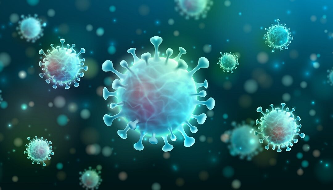 DNA-Hohlkörper könnten Viren einfangen und unschädlich machen