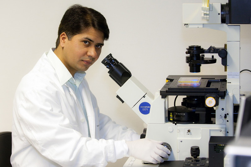 Forscher vor Mikroskop © Medizinische Hochschule Hannover