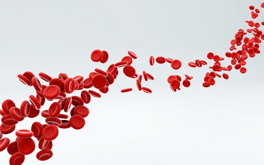 Nach Höhenaufenthalt unterliegen rote Blutkörperchen nicht der Neozytolyse
