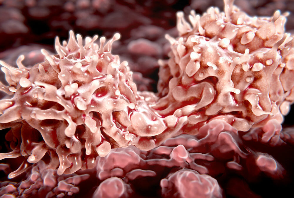 Stammzellen im Notfallmodus