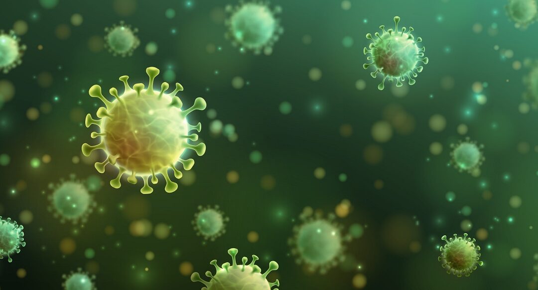 Anfälligkeit menschlicher Zellen für das Coronavirus
