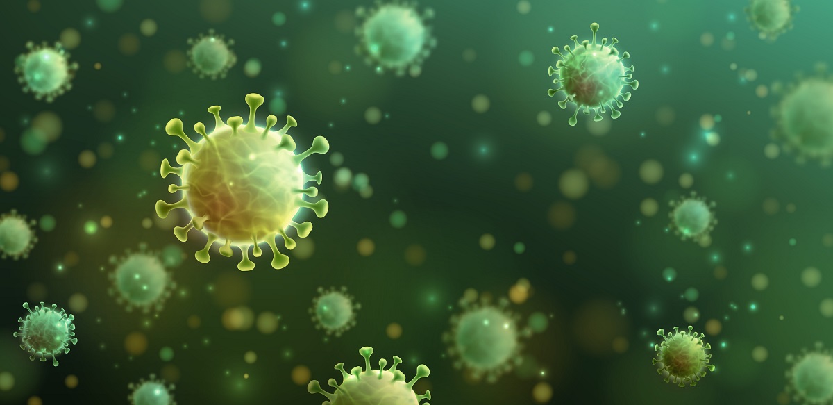 Anfälligkeit menschlicher Zellen für das Coronavirus
