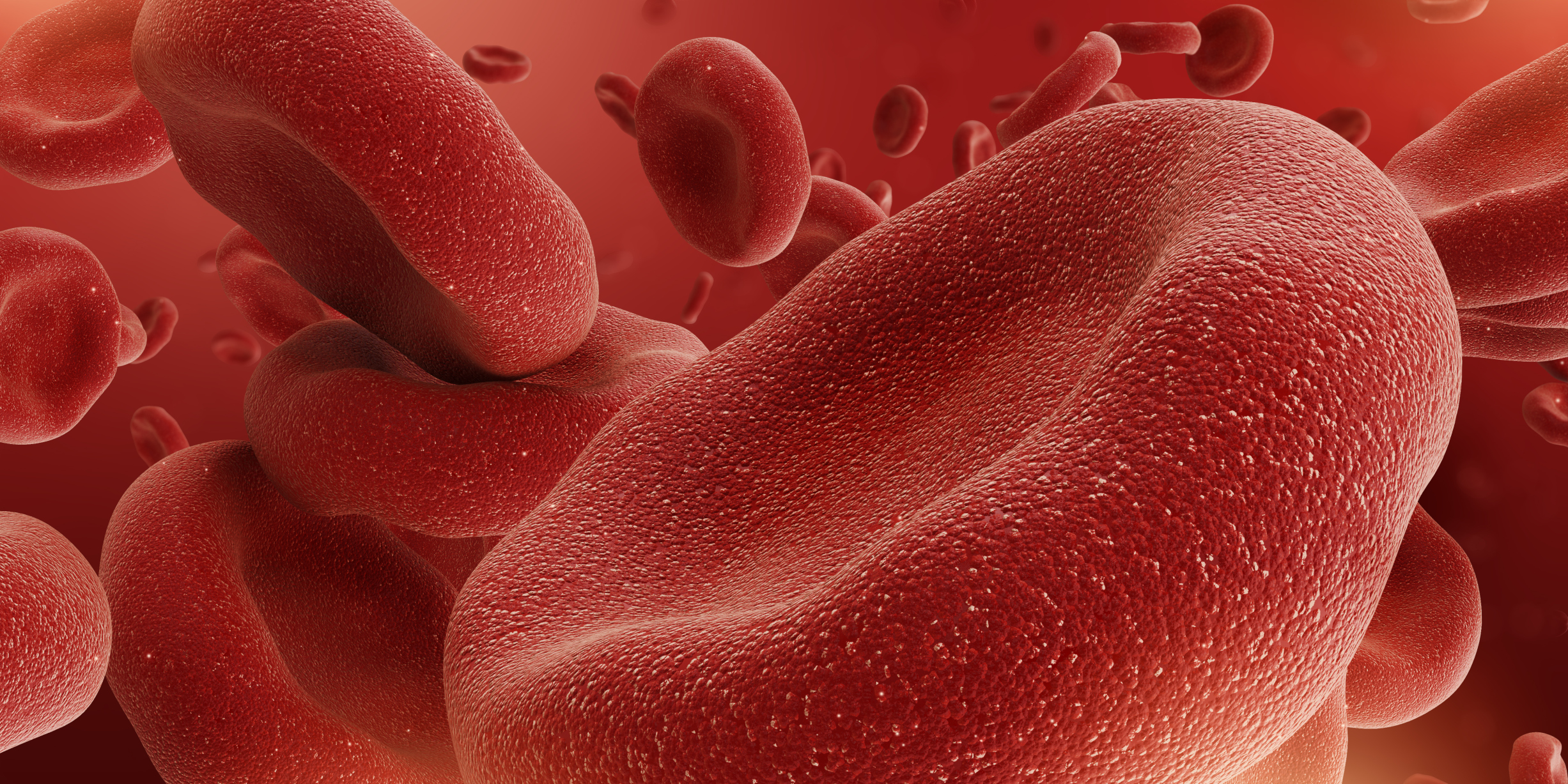 Wie rote Blutkörperchen sich bewegen