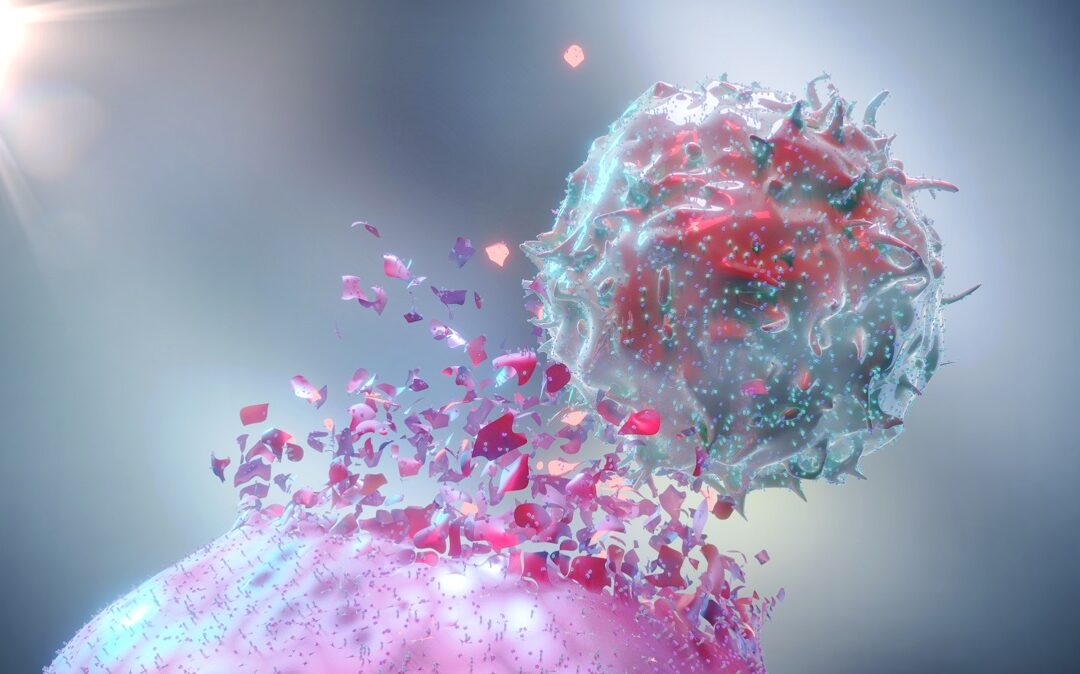 Neuer Ansatzpunkt für Krebs-Immuntherapie entdeckt
