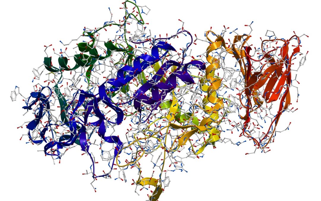 Einblick in dreidimensionale Struktur eines Enzyms