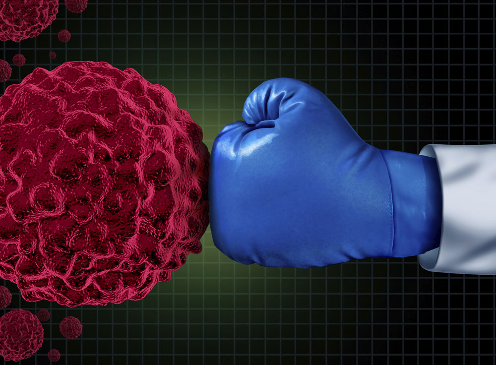 Tumorfördernde Immunzellen gezielt zerstören