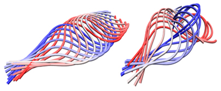 Schlagmuster von Spermien in 2D (links) und 3D (rechts) © Sebastian Rode et al, New J. Phys.