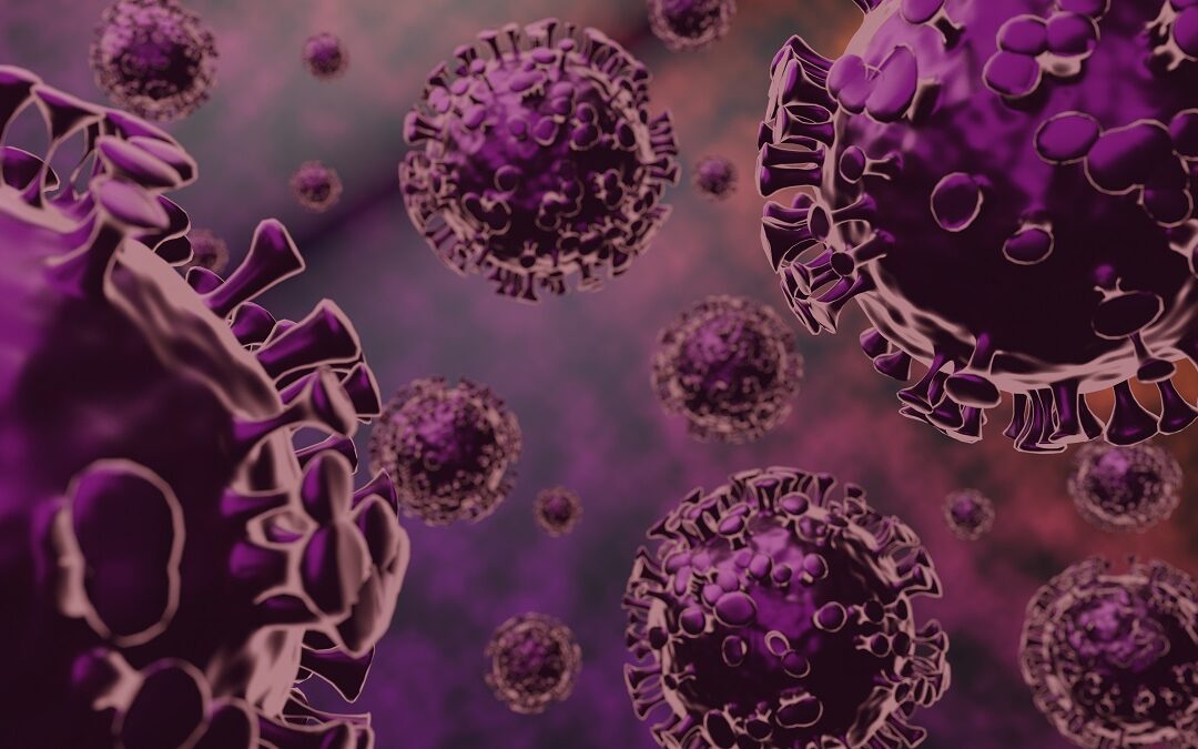 Wie sich SARS-Coronaviren menschliche Zellen zunutze machen