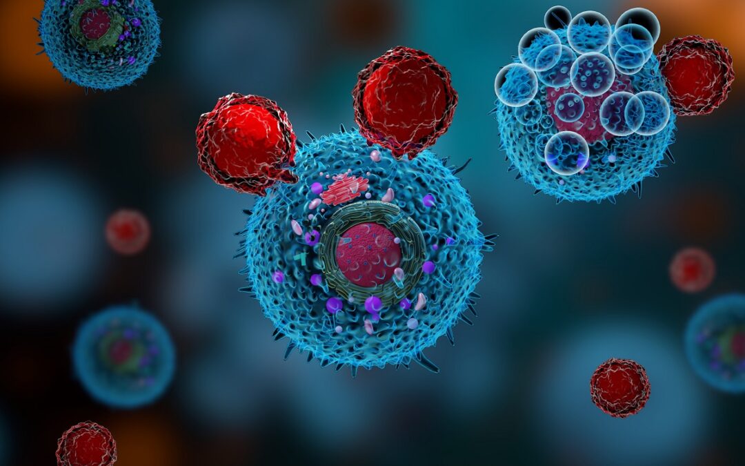 Mechanismus der Gefahrenabwehr des T-Zellrezeptors untersucht