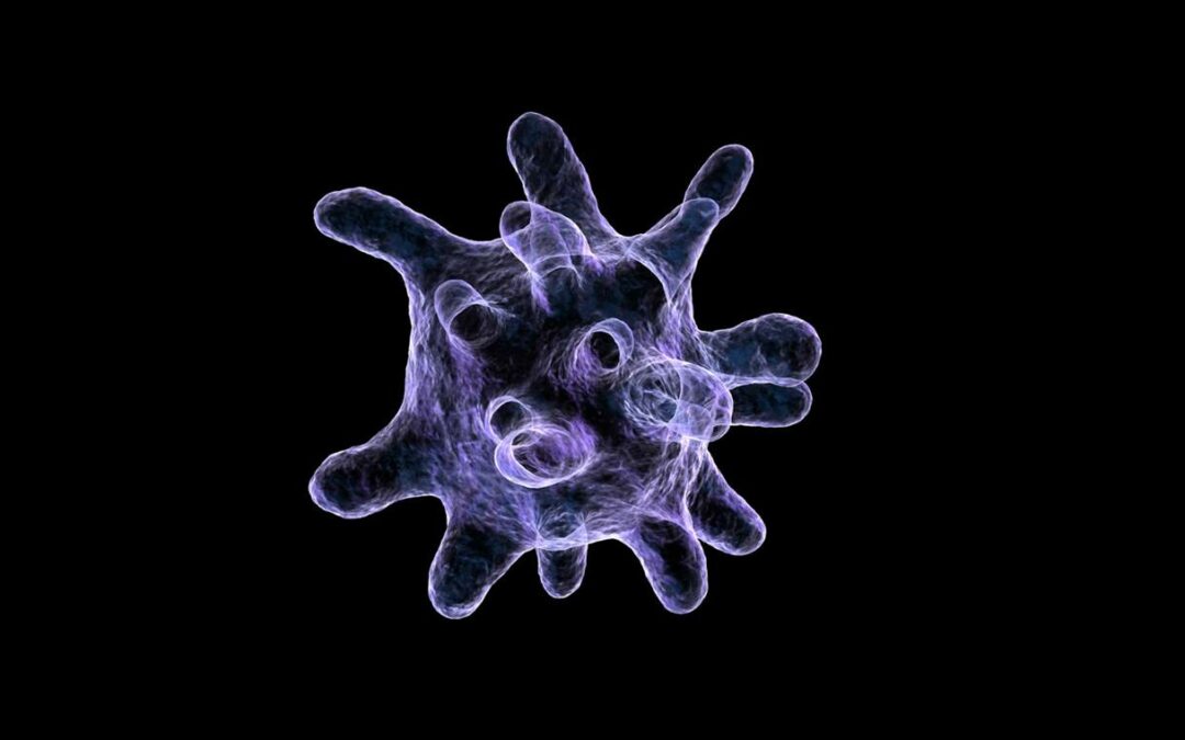 Entstehung hochentzündlicher Riesenimmunzellen
