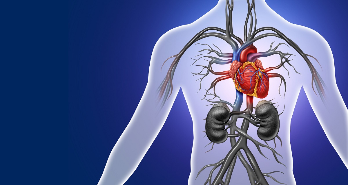Fälle von Herzinsuffizienz und Herzrhythmusstörungen nehmen zu