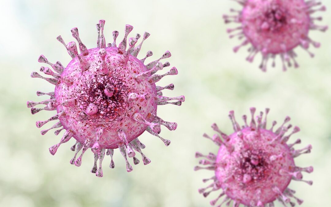 T-Zell-Antwort im Verlauf einer Virus-Infektion